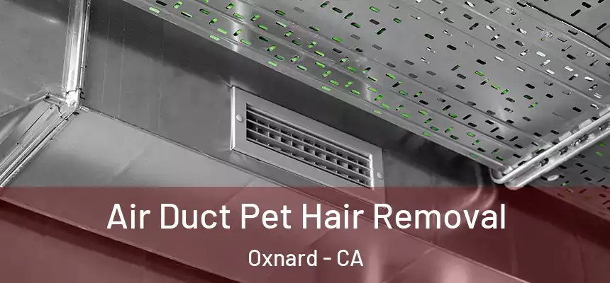 Air Duct Pet Hair Removal Oxnard - CA
