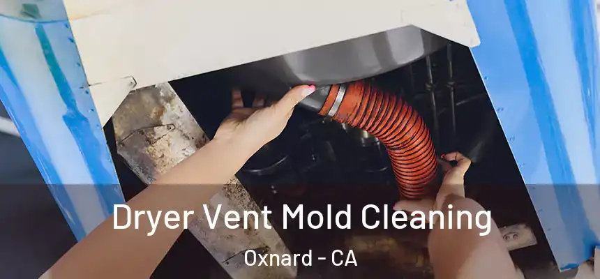 Dryer Vent Mold Cleaning Oxnard - CA