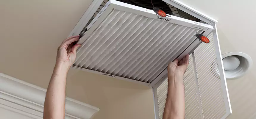 Preventive Cockroach-Proofing for Ducts in Oxnard