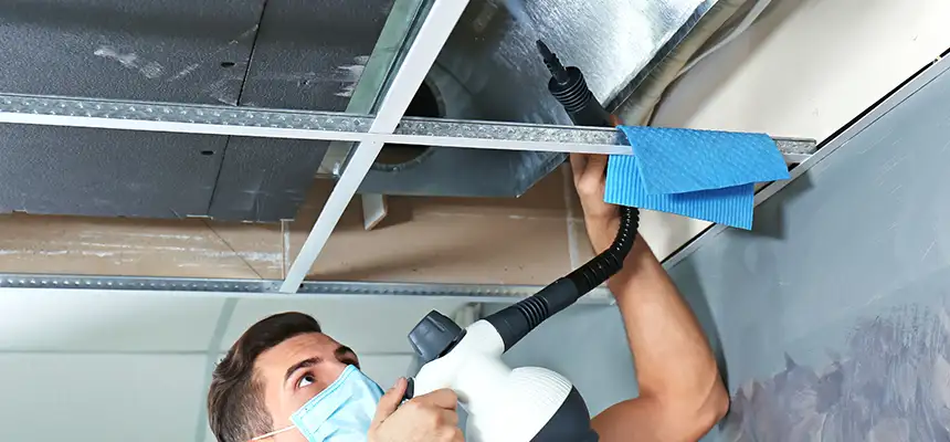 Our Air Duct Rodent Removal Services in Oxnard, CA