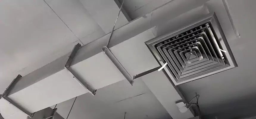 Our Pest Removal From Ducts Services in Oxnard, CA