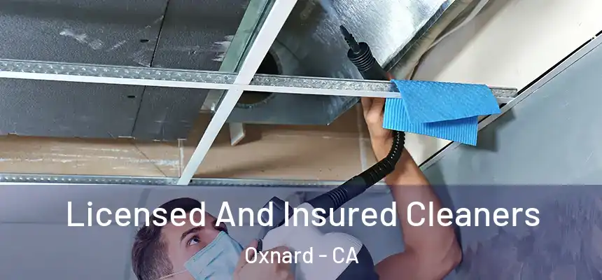 Licensed And Insured Cleaners Oxnard - CA