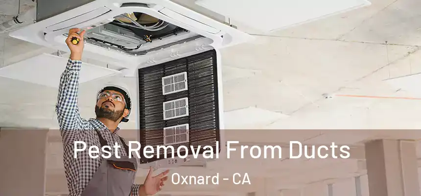 Pest Removal From Ducts Oxnard - CA