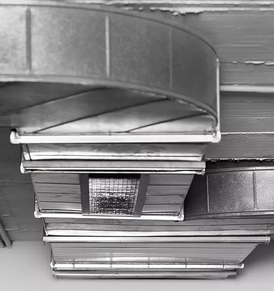 Professional Air Duct Pest Removal in Oxnard, CA