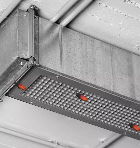 Affordable Insect Removal from Air Ducts in Oxnard, CA