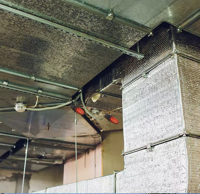 Why Homeowners & Businesses Trust Us in Oxnard, CA?