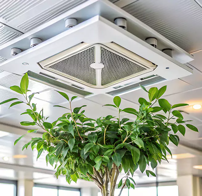 Why Homeowners & Businesses Trust Us in Oxnard, CA?